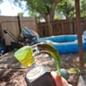 Small image 2