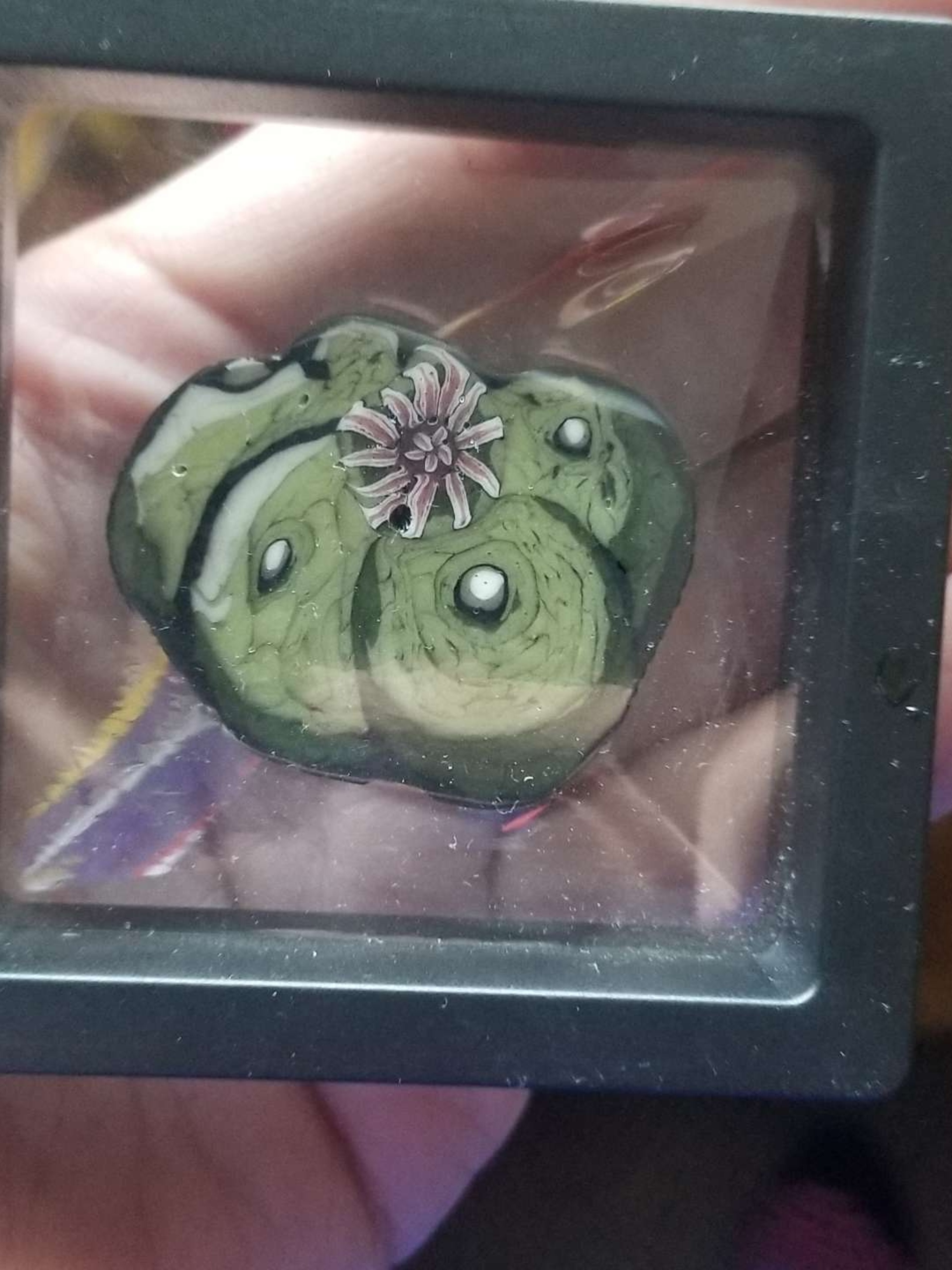 Stephen boehme peyote coin image 0