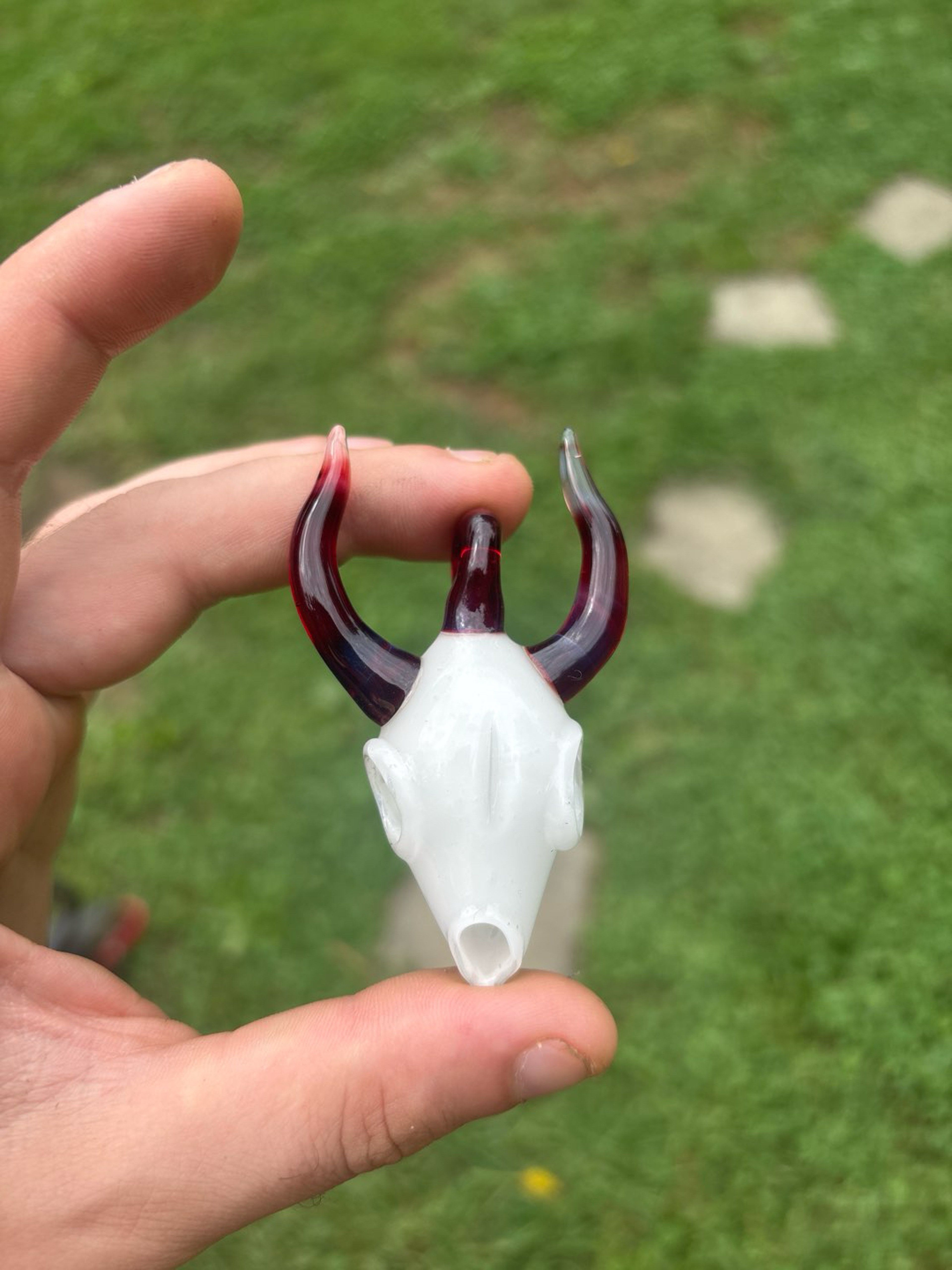 Preview pic of Cow skull