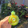 Small image 4