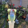 Small image 2