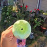 Small image 4