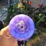 Small image 4