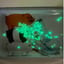 Small image 7