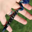 Small image 4