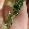 Small image 3