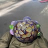 Small image 2