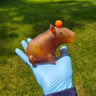 Small image 0
