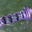 Small image 6