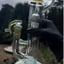 Small image 5