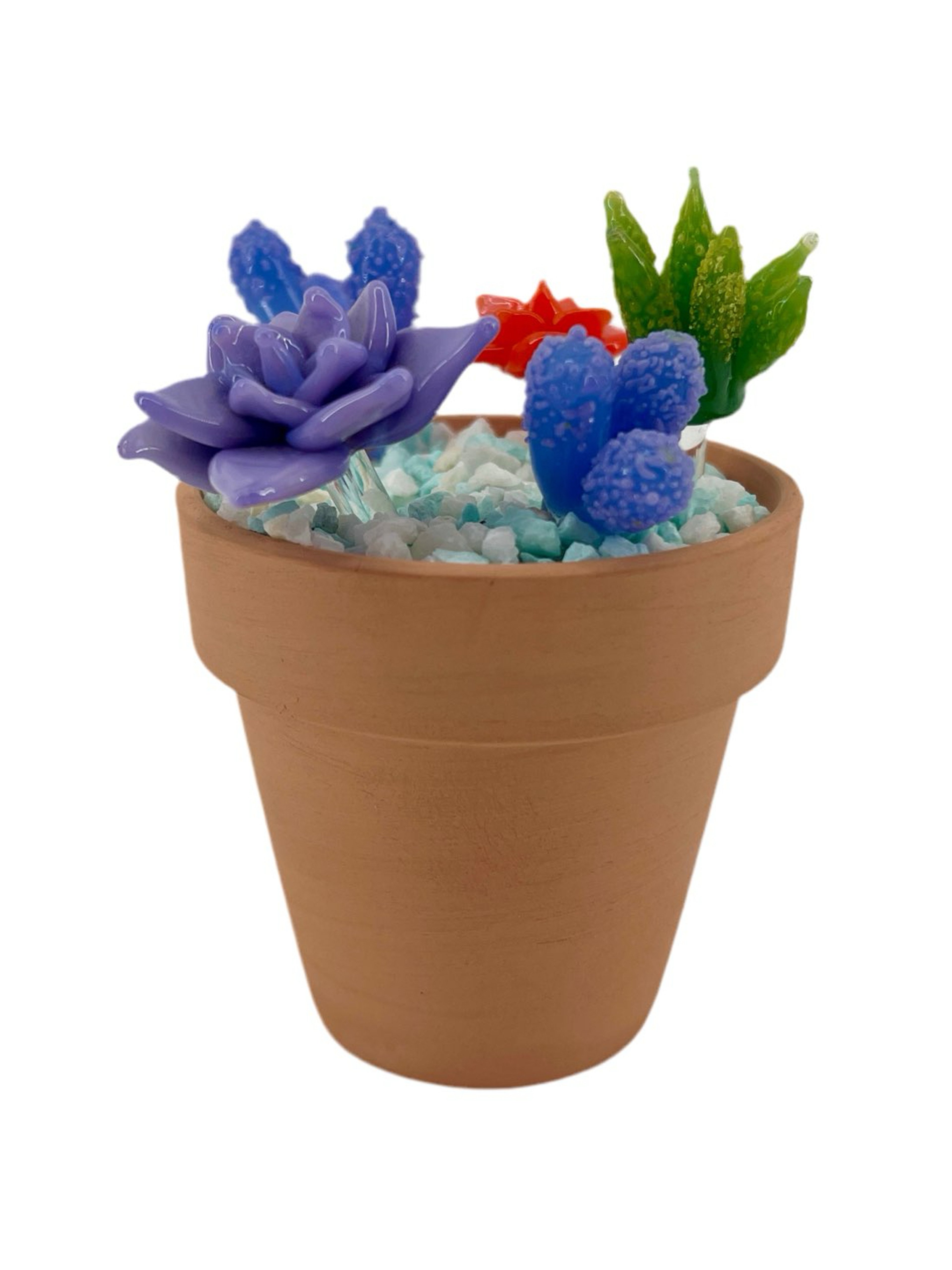 Preview pic of Sara Mac Glass Succulent Arrangement