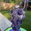 Small image 6