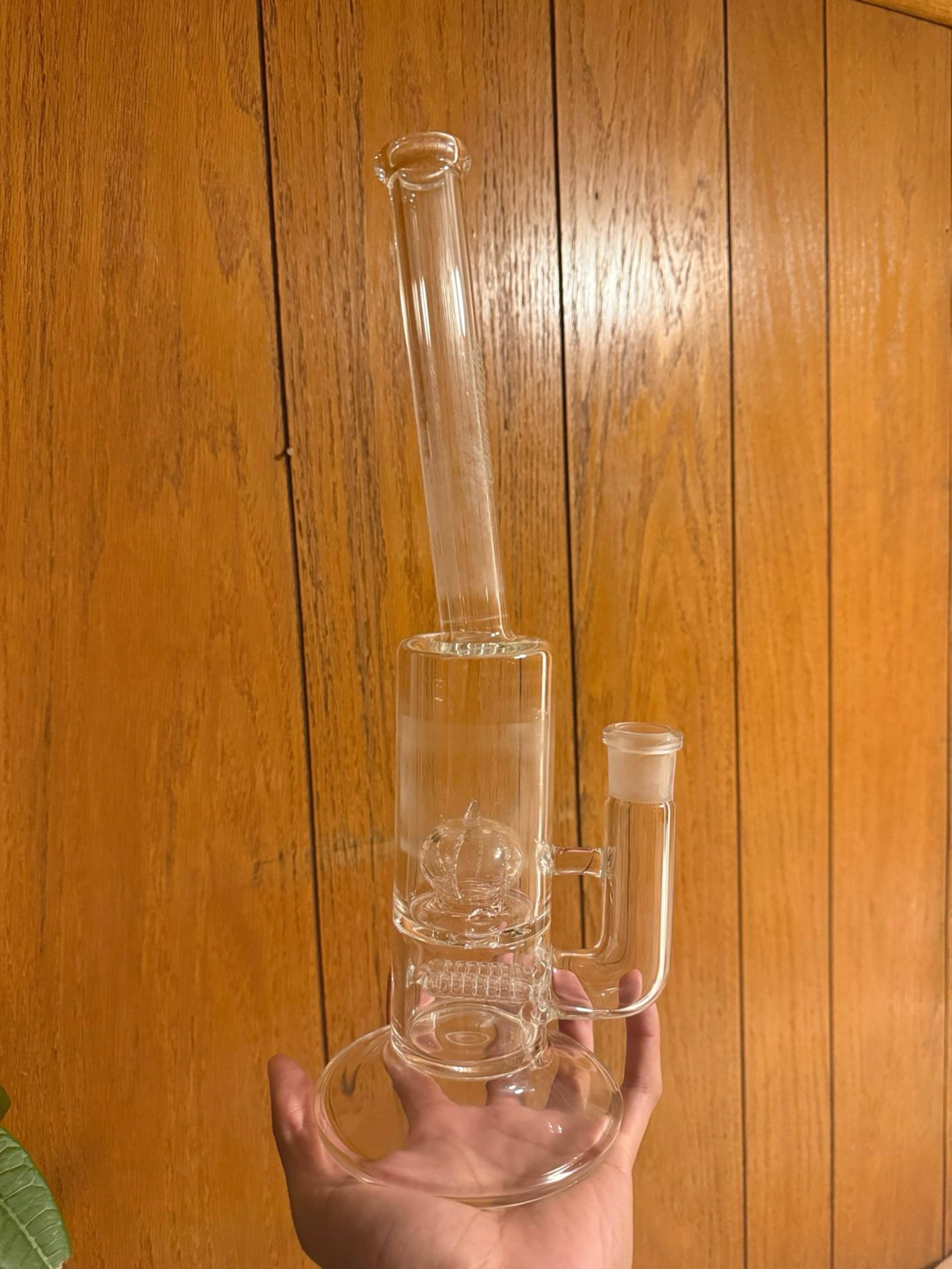Preview pic of Sovereignty Gline Imperial Bent Neck