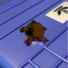 Small image 1