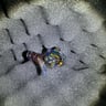 Small image 5