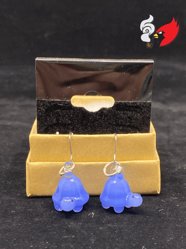 Preview pic of Turtle Earrings