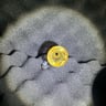 Small image 3