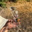 Small image 7