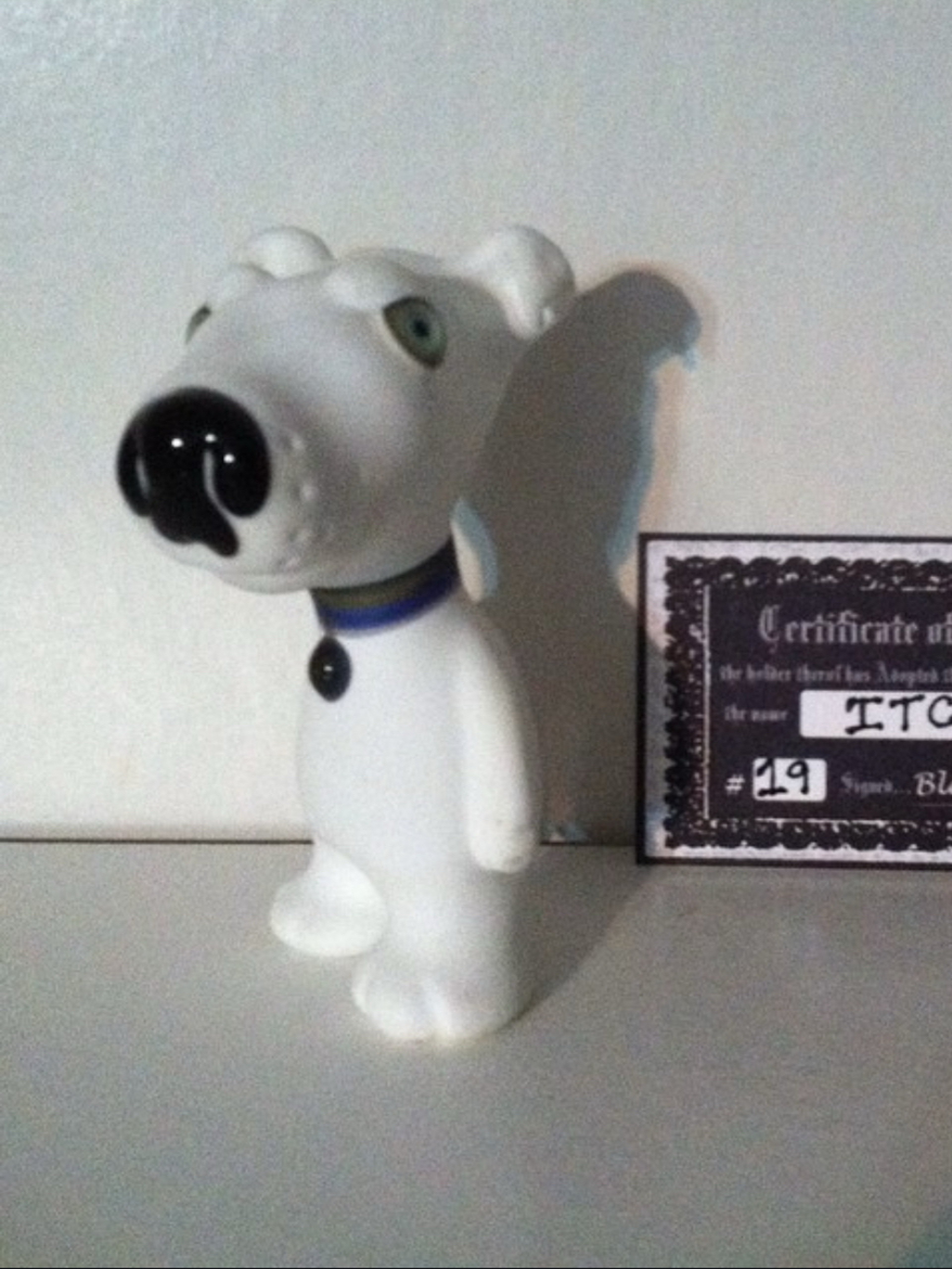 Preview pic of Dog Dry Pipe