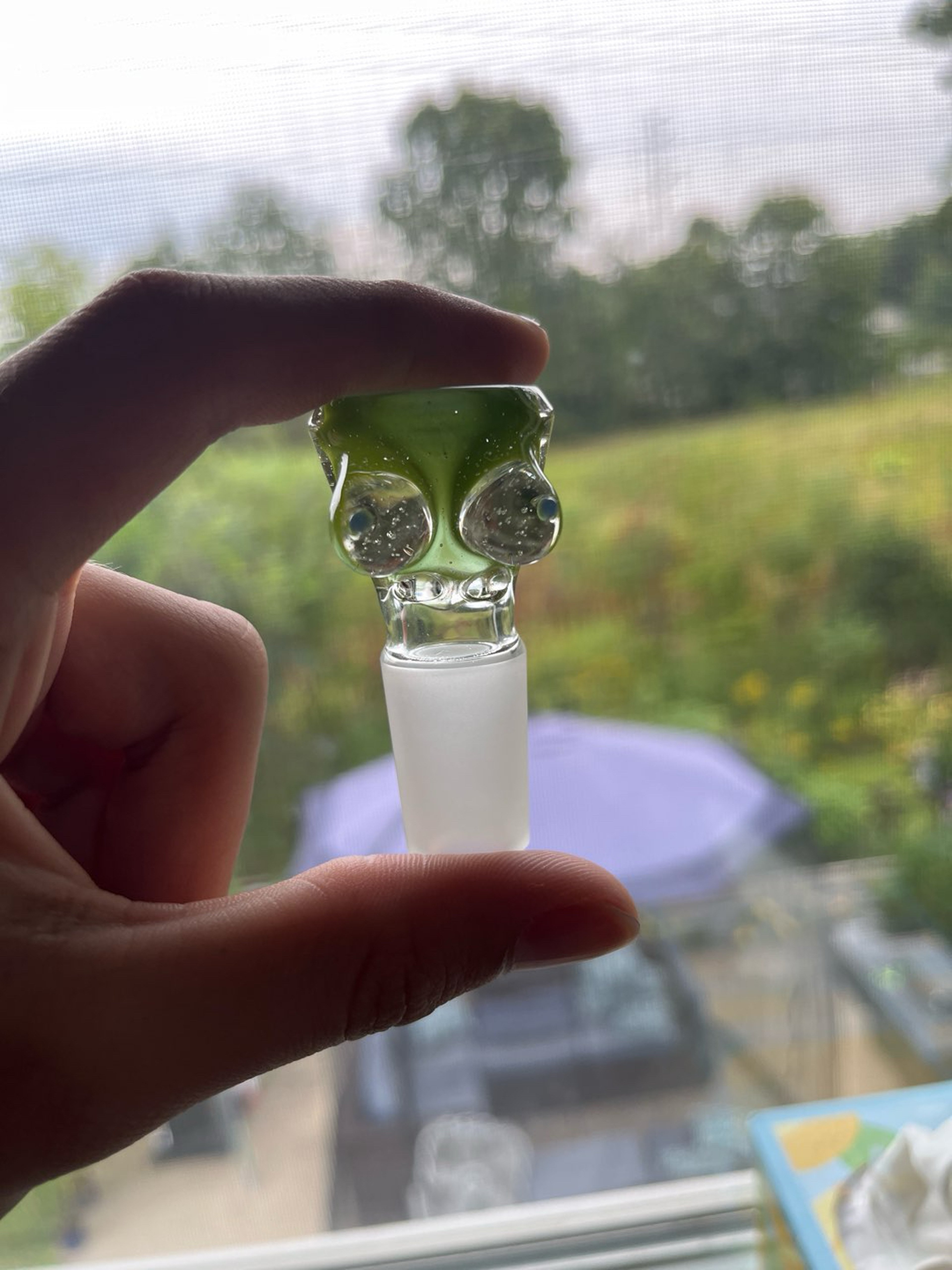 Preview pic of Full uv green titz slide