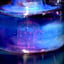 Small image 8