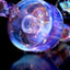 Small image 9