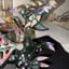Small image 4