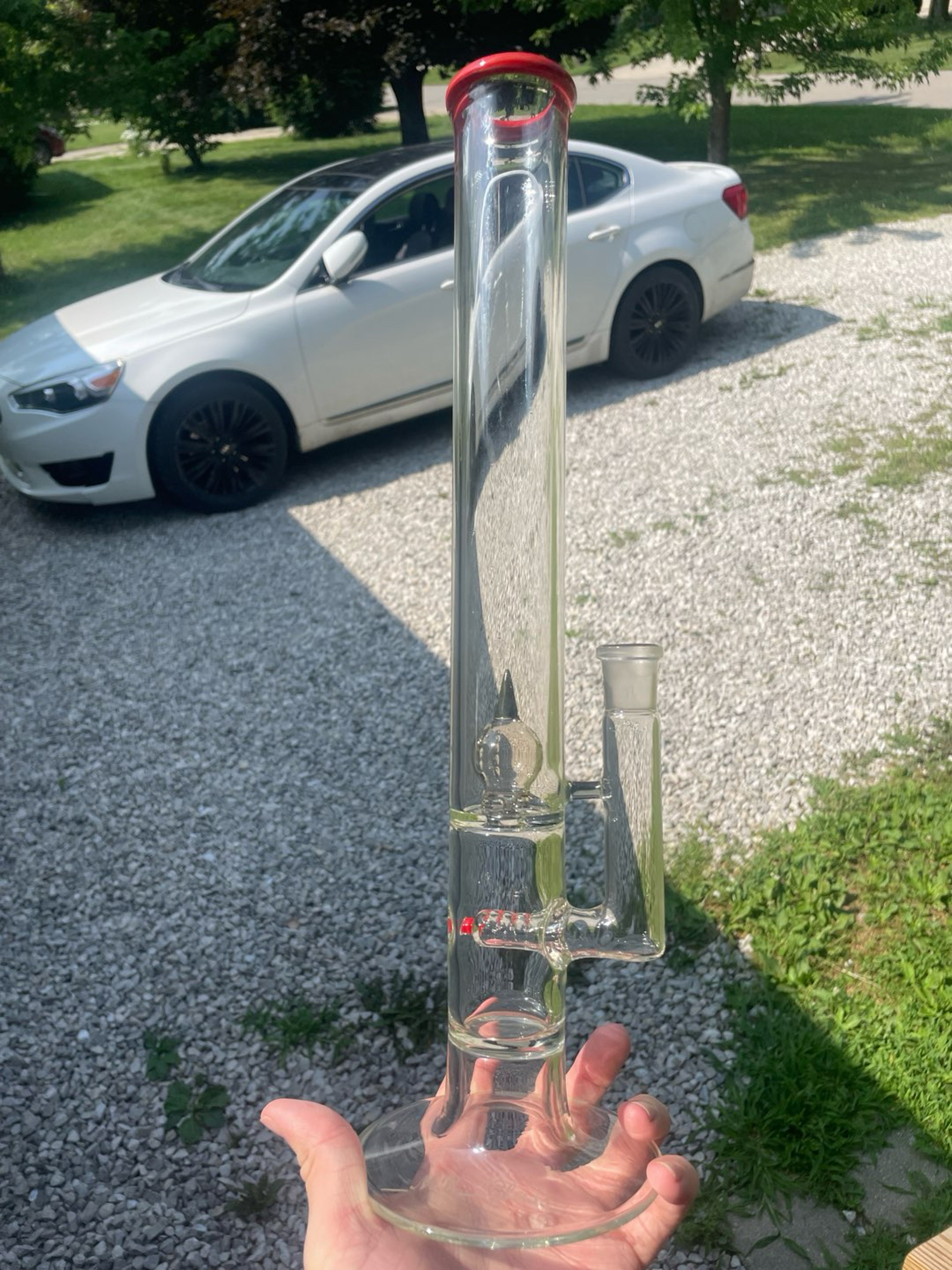 Preview pic of ___Mr_Glass___ Single Stem to Imperial