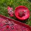 Small image 6