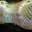 Small image 7