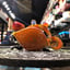 Small image 9