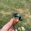 Small image 6