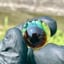 Small image 2