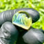 Small image 6