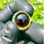 Small image 7