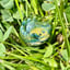Small image 8