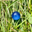 Small image 5