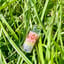 Small image 6
