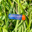 Small image 5