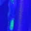 Small image 9
