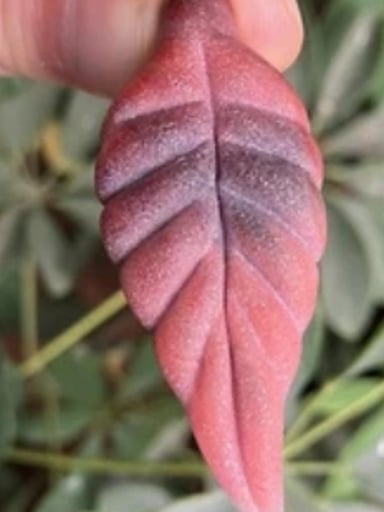 Preview pic of Heady Sand-Blasted Red Leaf Pendant