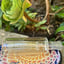 Small image 8