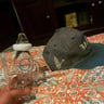 Small image 3