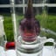 Small image 6