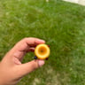 Small image 1