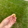 Small image 3
