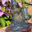 Small image 8