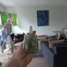 Small image 3