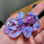 Small image 7