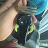 Small image 1